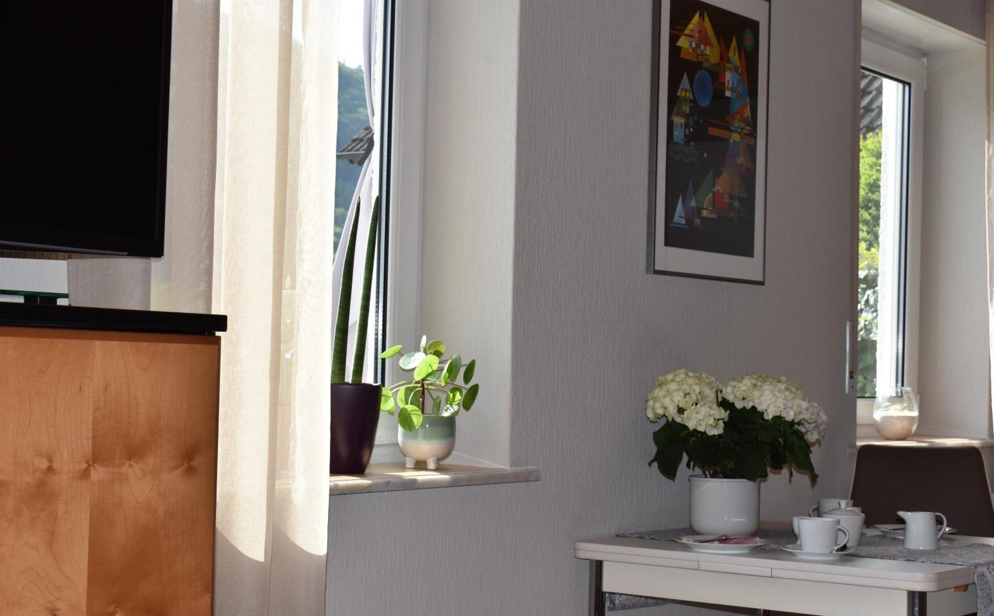 Reis Apartment Sankt Aldegund