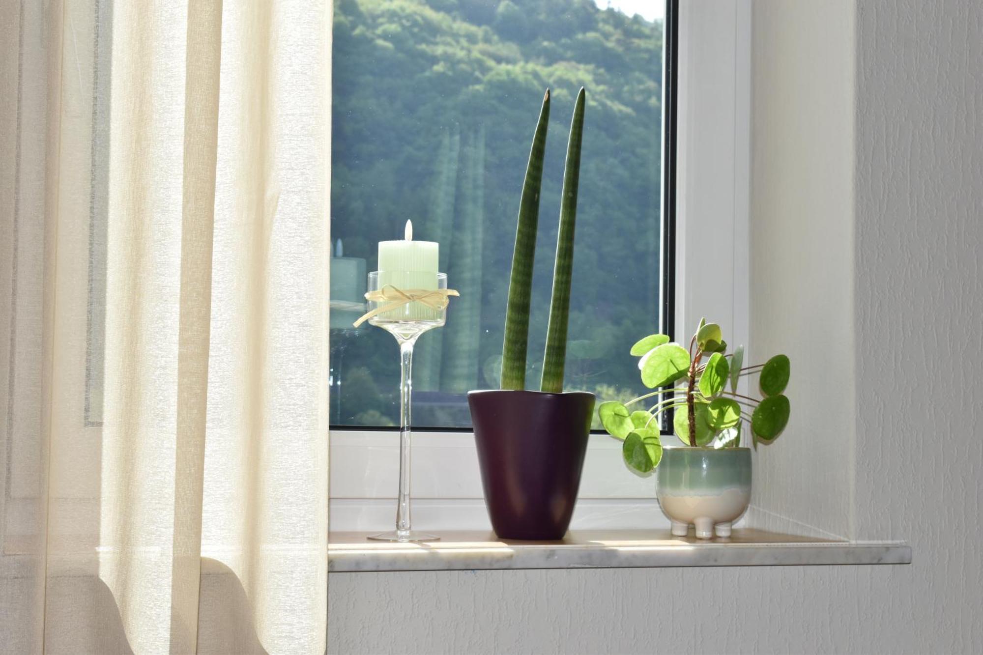 Apartment Reis Sankt Aldegund